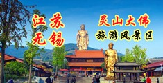 @视频屄江苏无锡灵山大佛旅游风景区